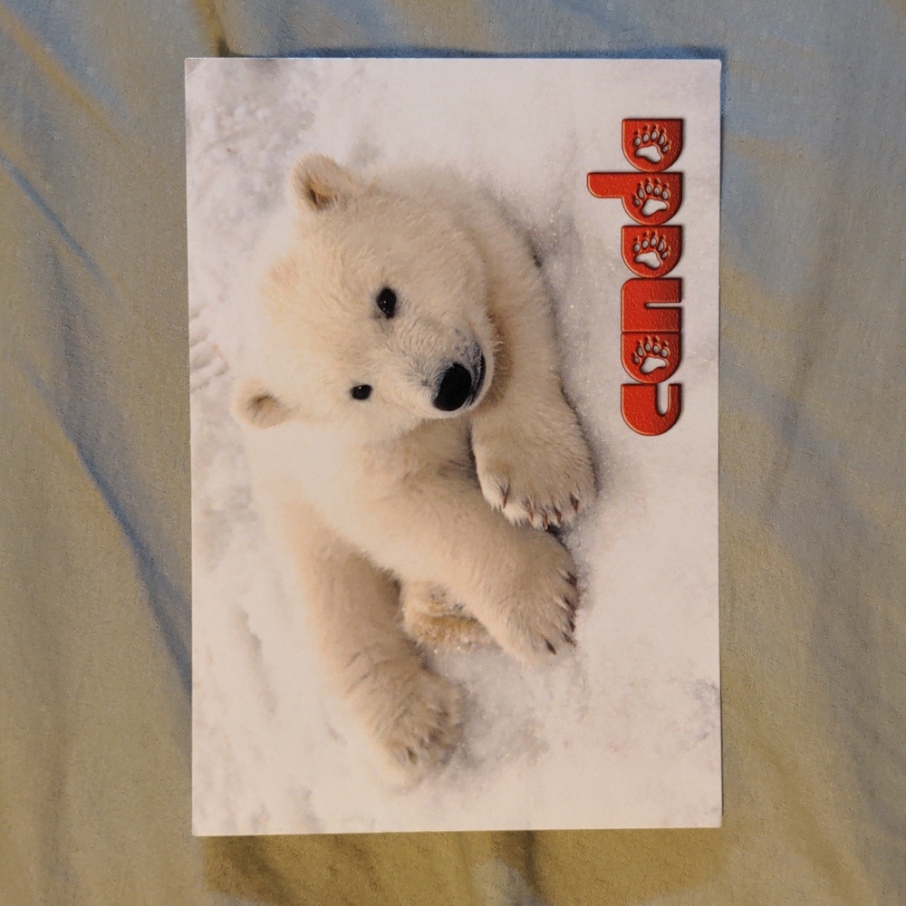 Canada Polar Bear Postcard 3 for $10